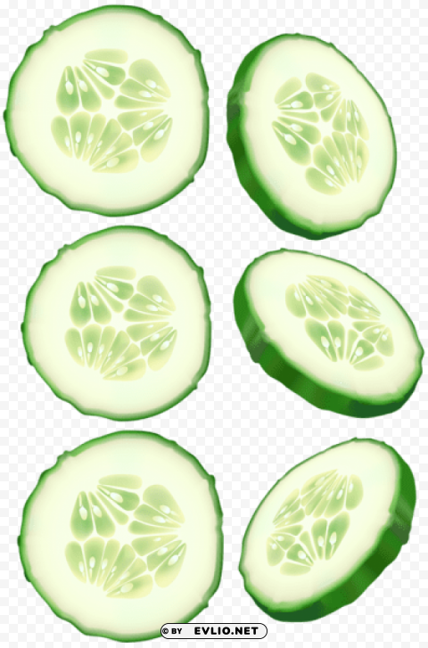 cucumber slices Clean Background Isolated PNG Design