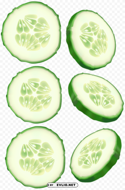 Cucumber Slices Clean Background Isolated PNG Design