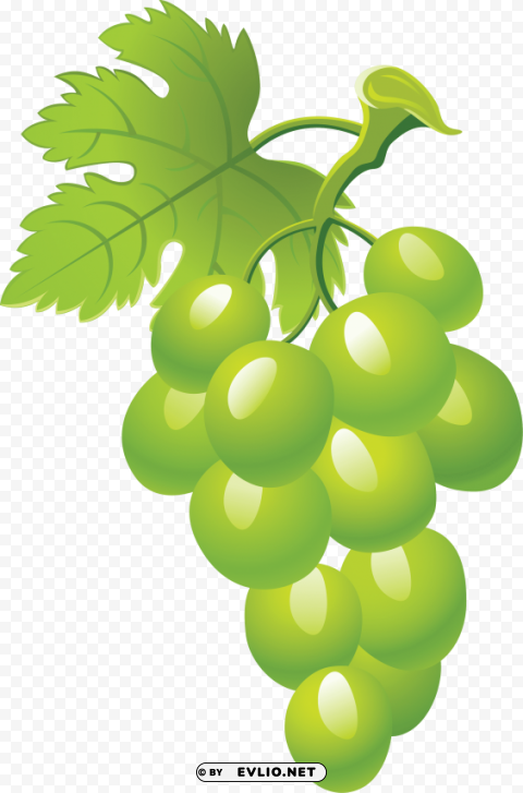 grapes Background-less PNGs clipart png photo - d6aaace9