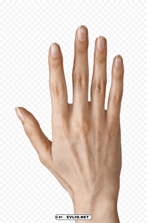 hand showing five fingers PNG transparent images mega collection