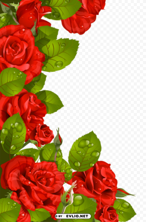red roses decoration for frame Transparent PNG Isolated Graphic Detail