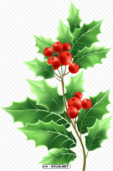 transparent christmas mistletoe HighResolution PNG Isolated Illustration