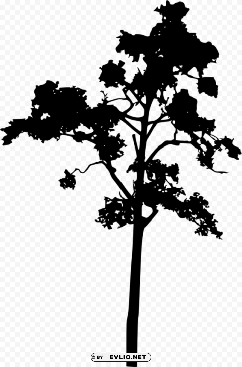 tree silhouette HighQuality PNG with Transparent Isolation