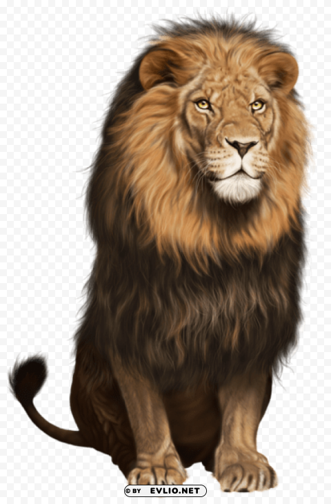 lion PNG clipart with transparent background