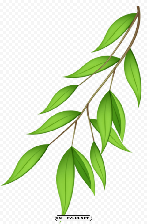 green branch Transparent PNG images database