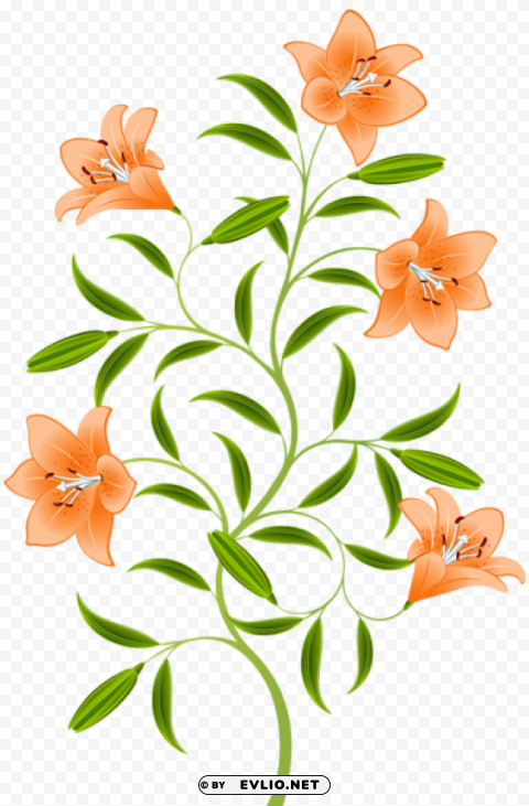 orange lily Free PNG images with transparent layers