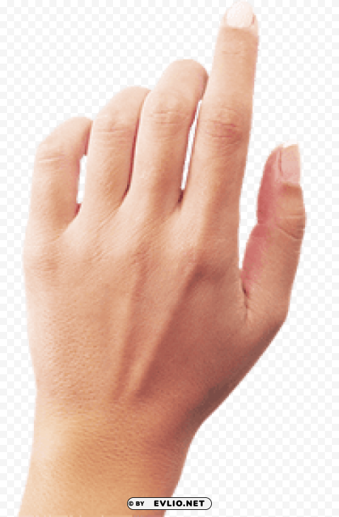 Hands Transparent Background PNG Isolated Item