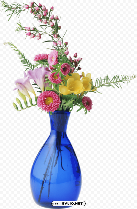 vase Transparent PNG images free download