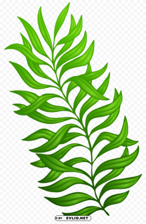 exotic green plant PNG design elements