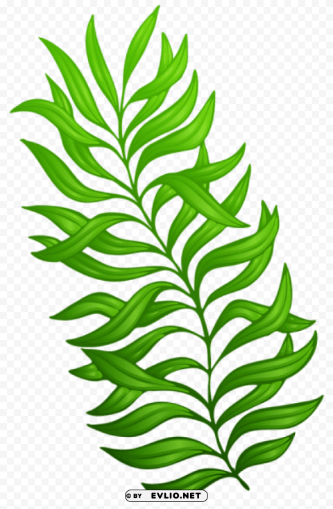 Exotic Green Plant PNG Design Elements