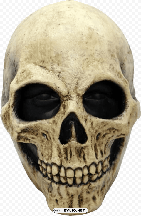 Transparent background PNG image of skull Alpha PNGs - Image ID 34ad2c04