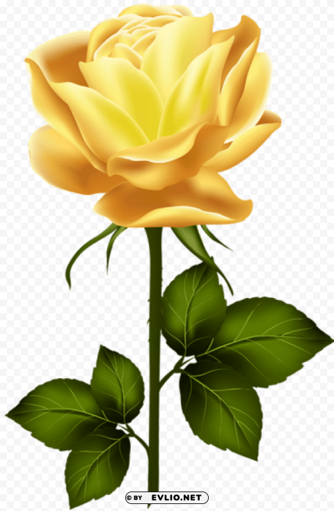 PNG image of yellow rose with stem Isolated Element in HighQuality PNG with a clear background - Image ID 0f4657f3