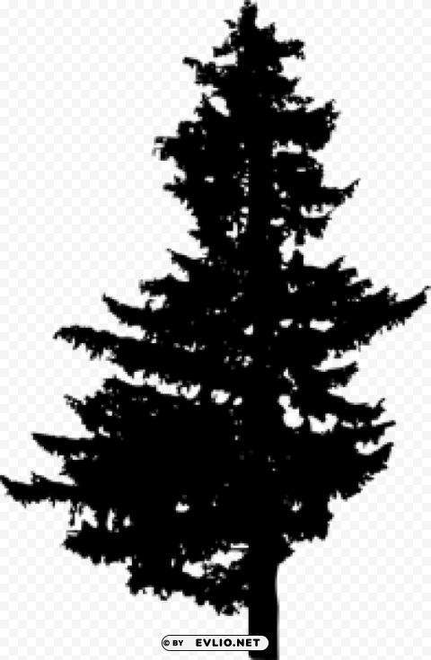 Pine Tree Silhouette PNG transparent photos vast collection
