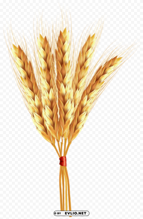 wheat classes Isolated Graphic on Clear PNG