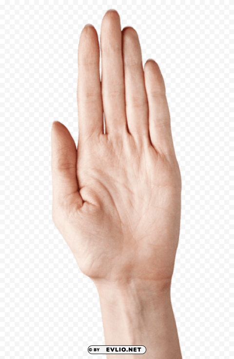 hand showing five fingerspicture PNG transparent photos for presentations