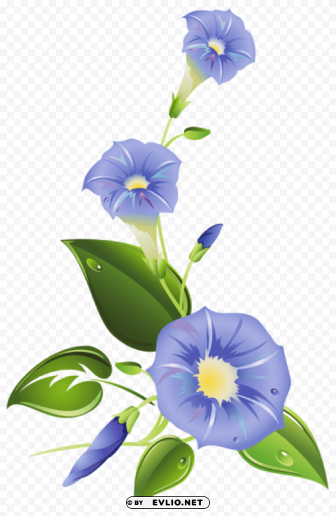 ipomoea Transparent PNG Artwork with Isolated Subject