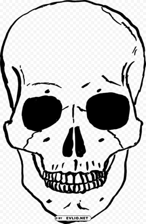 skulls PNG Image with Clear Isolated Object