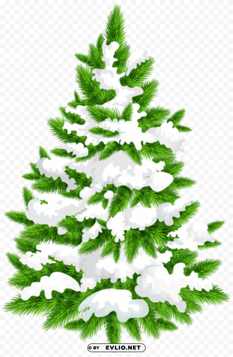 snowy pine tree PNG files with alpha channel