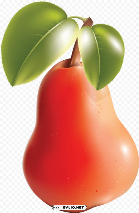pear HighQuality Transparent PNG Isolated Artwork
