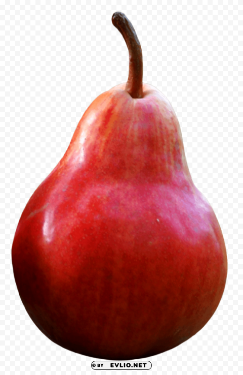 Red Pear Isolated Design Element in PNG Format