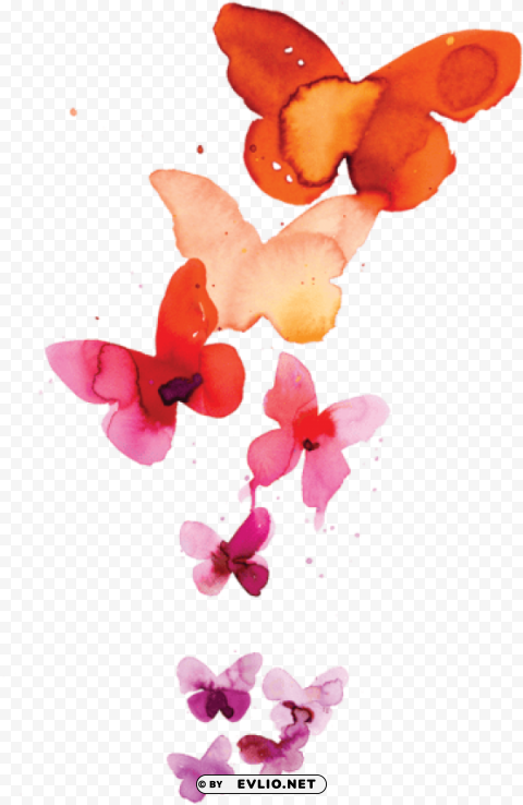 watercolor butterfly tattoo HighQuality Transparent PNG Isolated Graphic Design