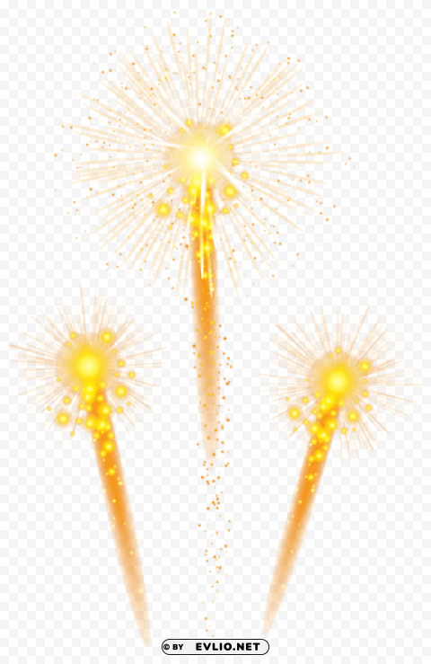 fireworks Transparent PNG picture