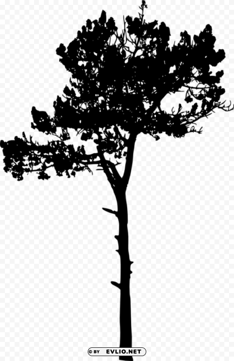 Tree Silhouette Transparent picture PNG