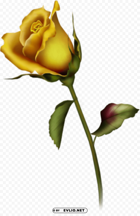 yellow rose bud art Transparent PNG Artwork with Isolated Subject