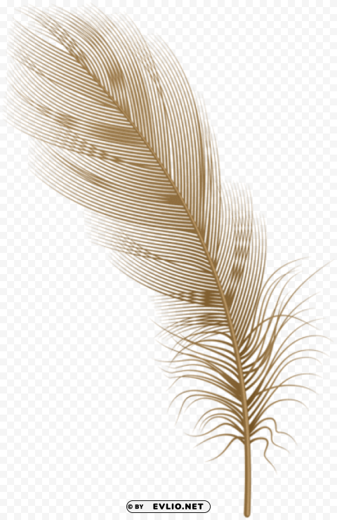 feather brown PNG images with alpha transparency layer clipart png photo - a69c2da5