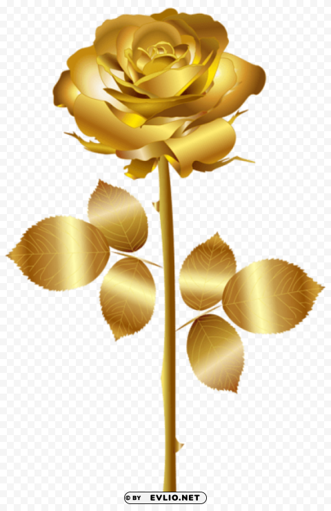 Gold Rose Transparent PNG Pictures Archive