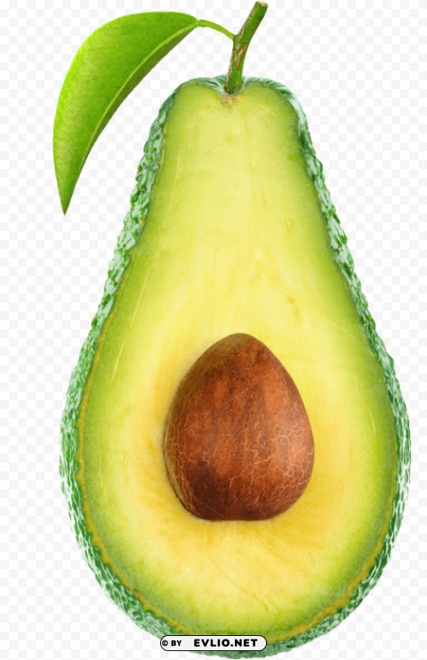 avocado PNG for educational use