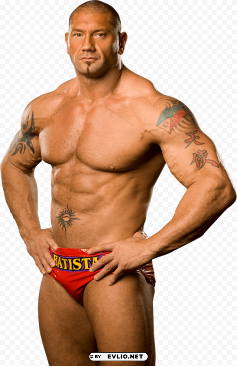 merchandise 247 66169 wwe mirror batista 8x12 Clear background PNG elements PNG transparent with Clear Background ID 832246f3