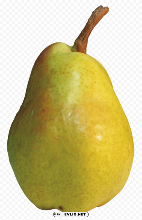 Pear Images in PNG format with transparency