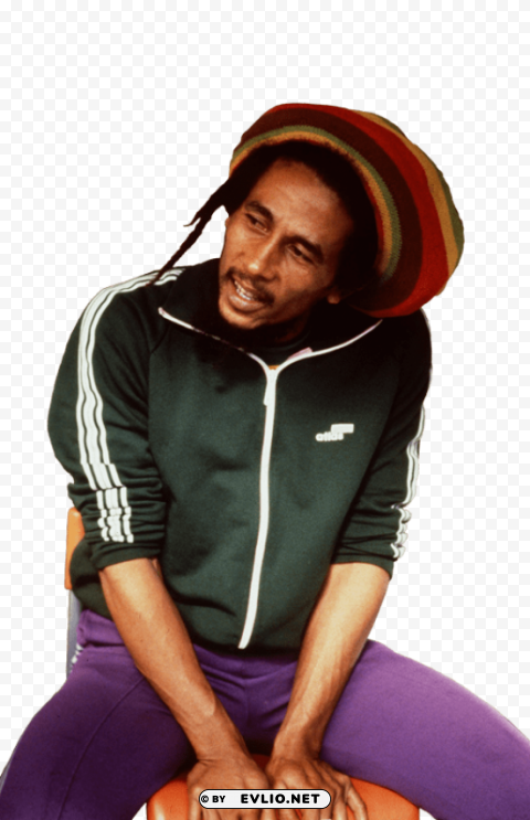Bob Marley PNG Transparent Photos Vast Collection