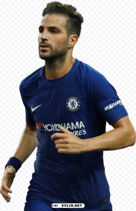 cesc fabregas Isolated Graphic on HighResolution Transparent PNG