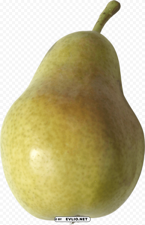 pear PNG with no background for free