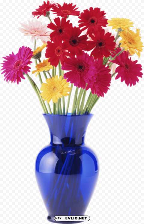 Transparent Background PNG of vase Clear PNG pictures broad bulk - Image ID 6542e8f8