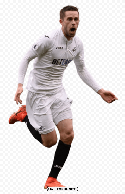 Download gylfi sigurdsson PNG images for printing png images background ID a9eaa97b