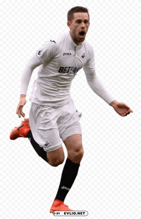 gylfi sigurdsson PNG images for printing