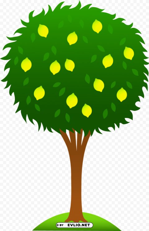 lemon tree PNG Object Isolated with Transparency