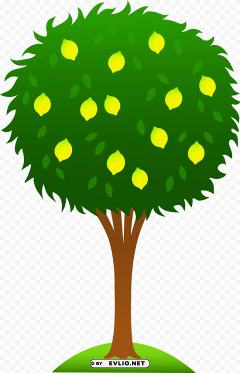 Lemon Tree PNG Object Isolated With Transparency