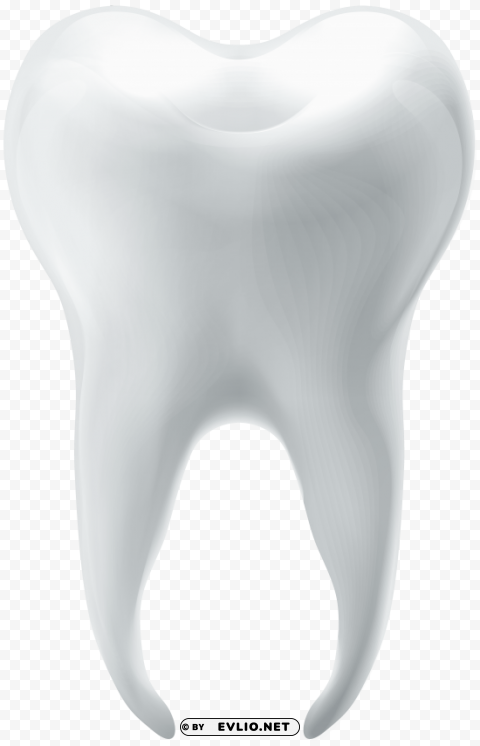 molar tooth PNG with Isolated Object