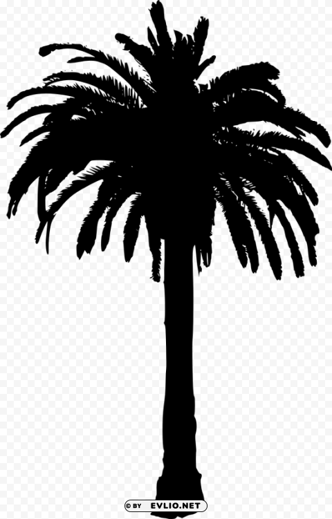 palm tree Isolated Illustration in HighQuality Transparent PNG