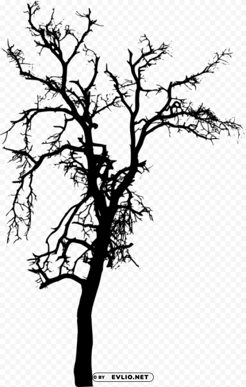 bare tree silhouette Isolated Character on Transparent Background PNG