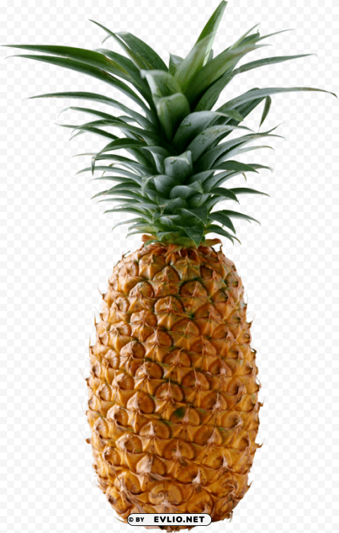 pineapple PNG images for mockups