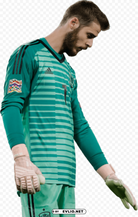 david de gea Transparent PNG Isolated Graphic with Clarity