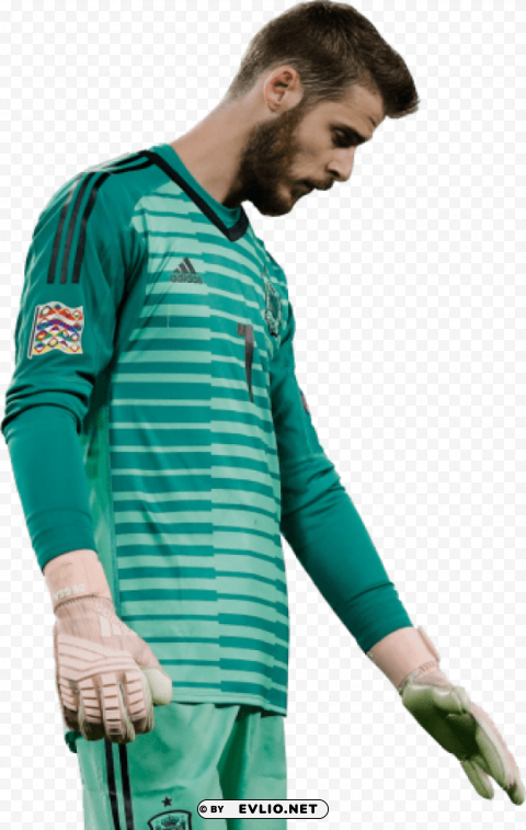 Download david de gea Transparent PNG Isolated Graphic with Clarity png images background ID 6516ae27