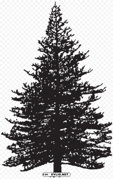 pine tree silhouette PNG Graphic with Transparency Isolation