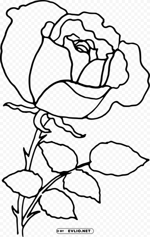  rose outline s Isolated Character with Transparent Background PNG clipart png photo - 0cb1221a