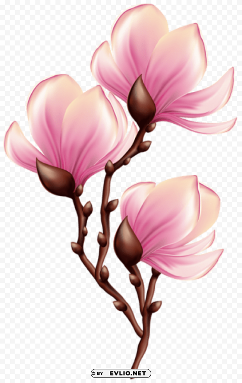beautiful blooming branch PNG Image with Transparent Cutout